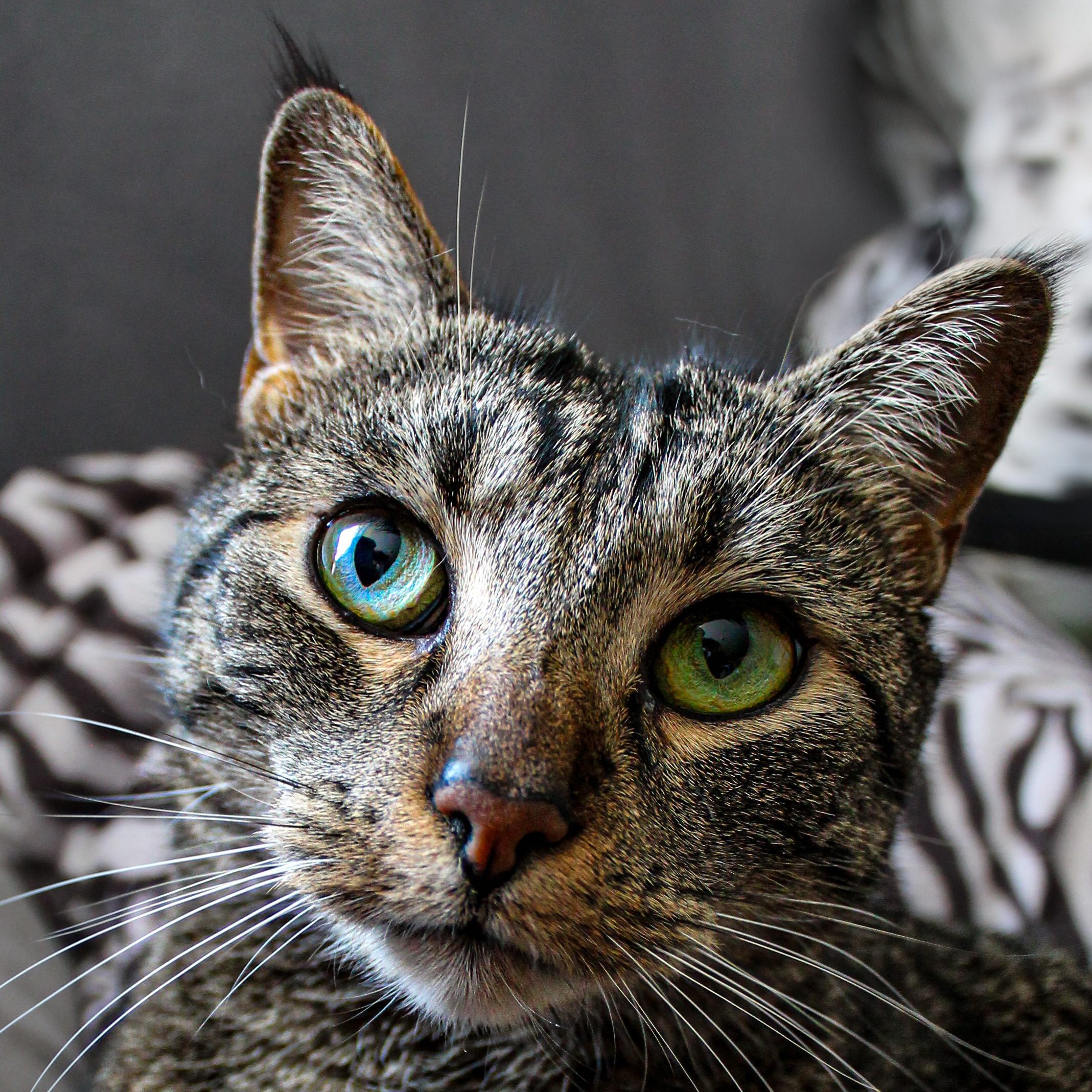 Kontaktieren Sie uns